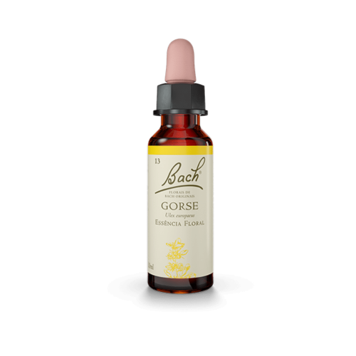 Floral De Bach - Gorse - Monas